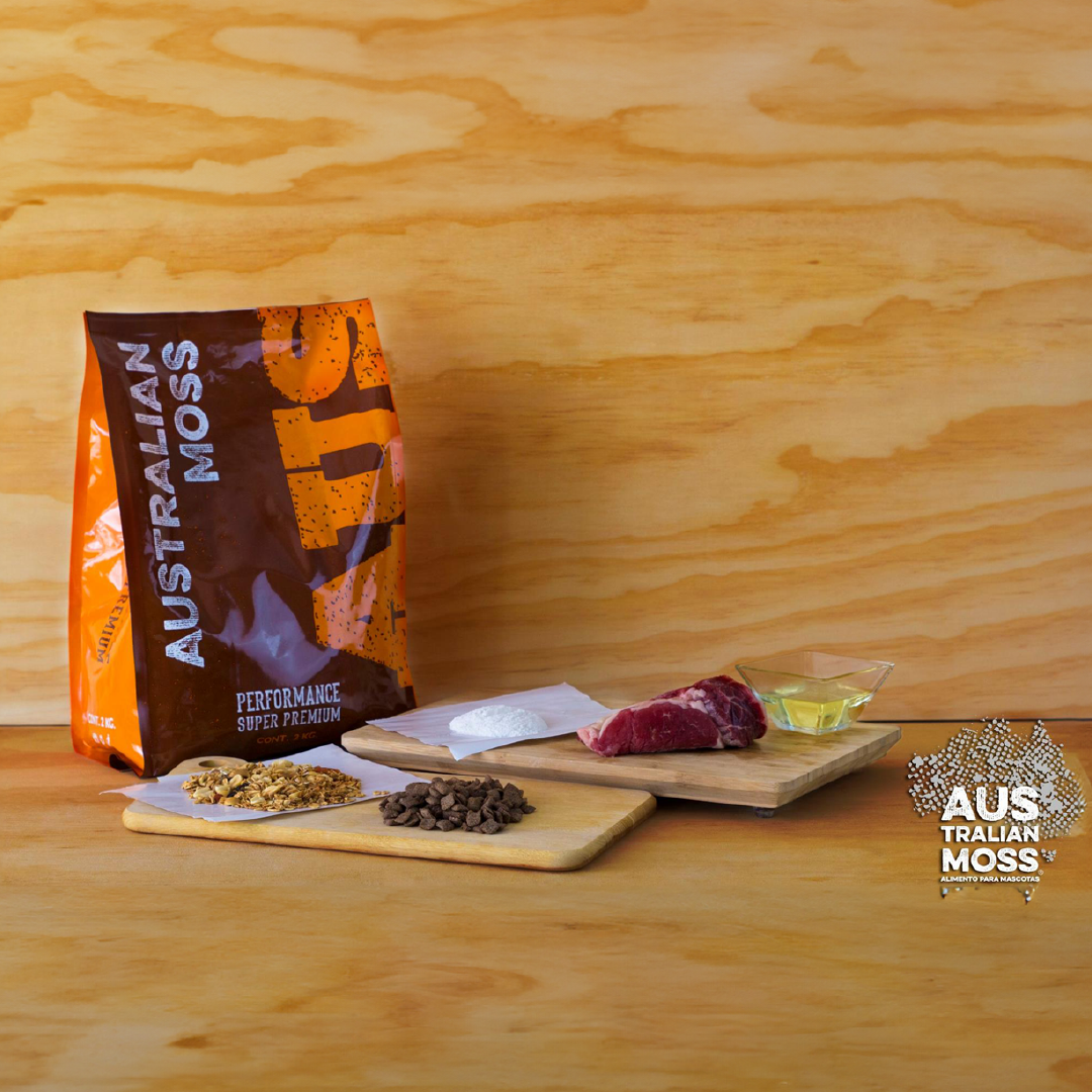 AUSTRALIAN MOSS | PERFORMANCE