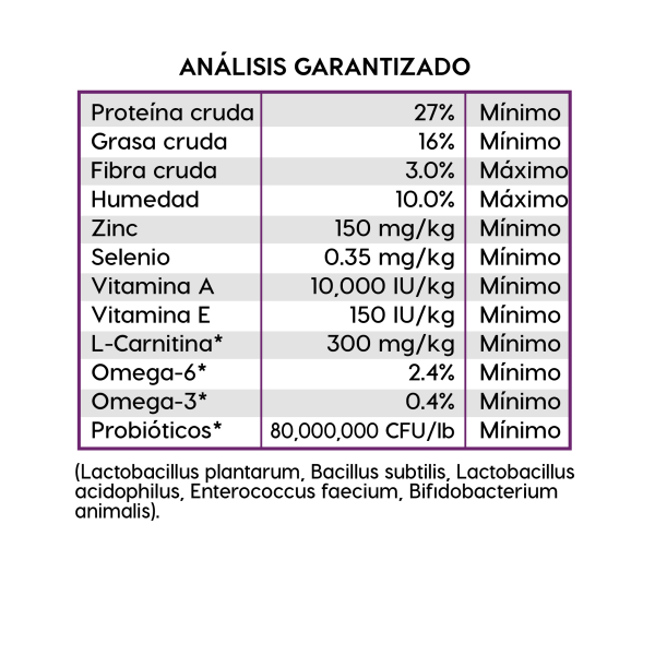 DIAMOND NATURALS | PERRO ADULTO DE RAZA PEQUEÑA